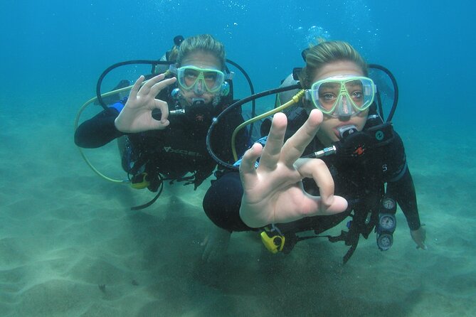 Intro/Refresher Dive Swim Ability Required - Starting at 65 Kai Ala Drive in Lahaina