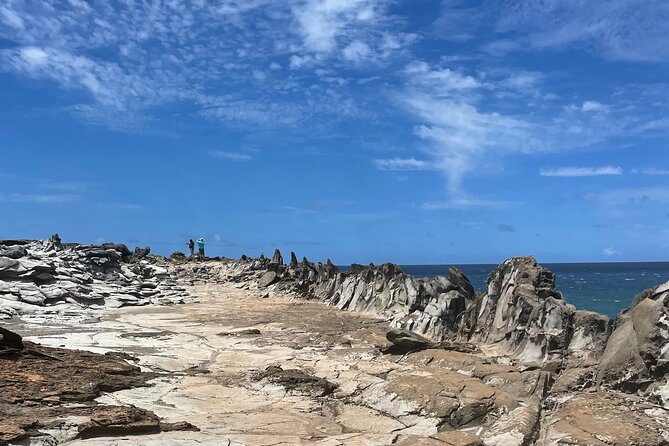 Island of Maui Customized Half Day Tour - Why a private Maui day can work better than a fixed tour