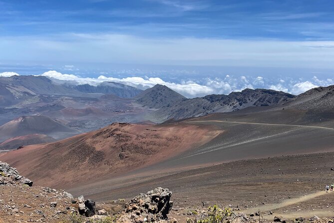 Island of Maui Customized Half Day Tour - Waterfalls, sea turtles, and the Road to Hāna
