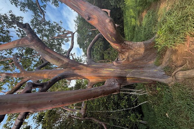 Island of Maui Customized Half Day Tour - Photos from G and Shelby add practical value