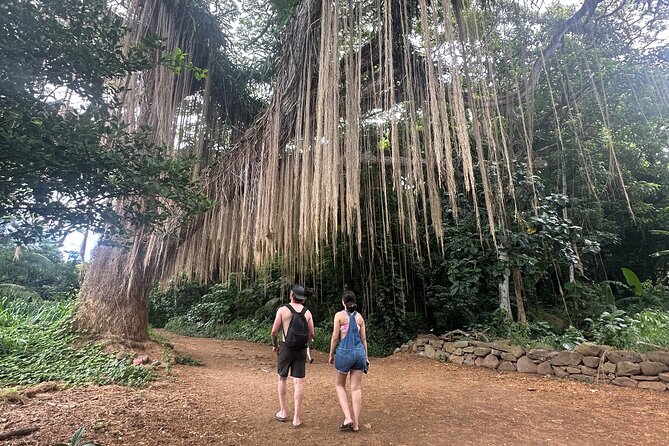 Island of Maui Customized Half Day Tour - Should you book the Island of Maui Customized Half Day Tour?