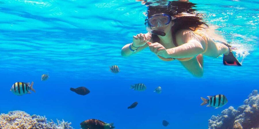 Ka'anapali Beach: Coral Reef Snorkel and Turtle Spotting - Why this short Maui snorkel trip works so well