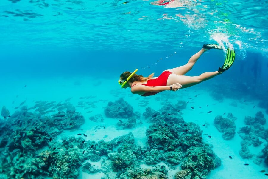 Ka'anapali Beach: Coral Reef Snorkel and Turtle Spotting - Drinks, snacks, and the ride home