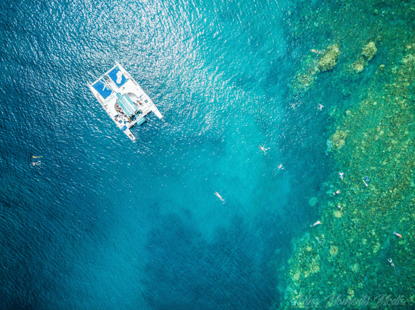 Ka'anapali Beach: Coral Reef Snorkel and Turtle Spotting - Weather, cancellations, and the small details that matter