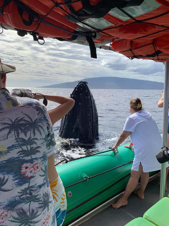 Ka'anapali: Whale Watching Boat Tour - Boarding the Magic Merman