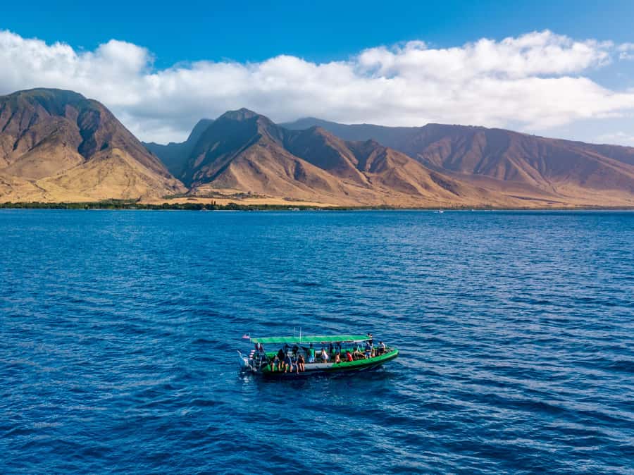 Ka'anapali: Whale Watching Boat Tour - Naturalists who add meaning to the sightings