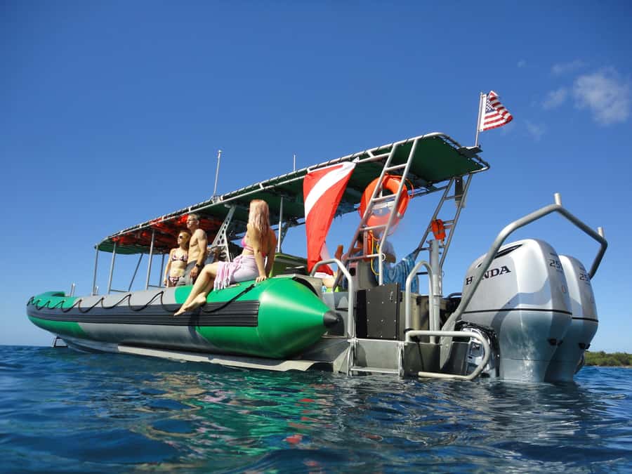 Ka'anapali: Whale Watching Boat Tour - The first minutes at sea