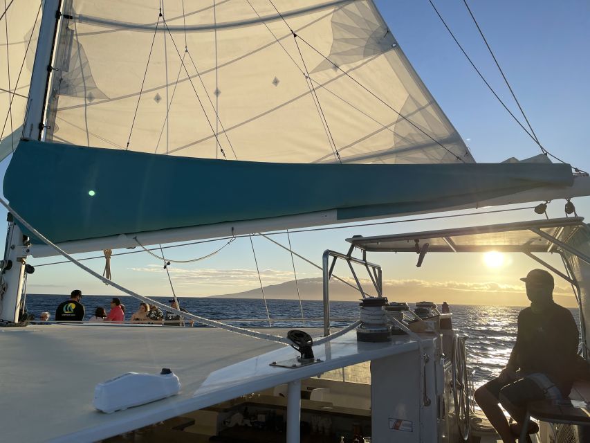 Kaanapali: Sunset Dinner Catamaran Cruise With Drinks - Wildlife sightings and seasonal expectations