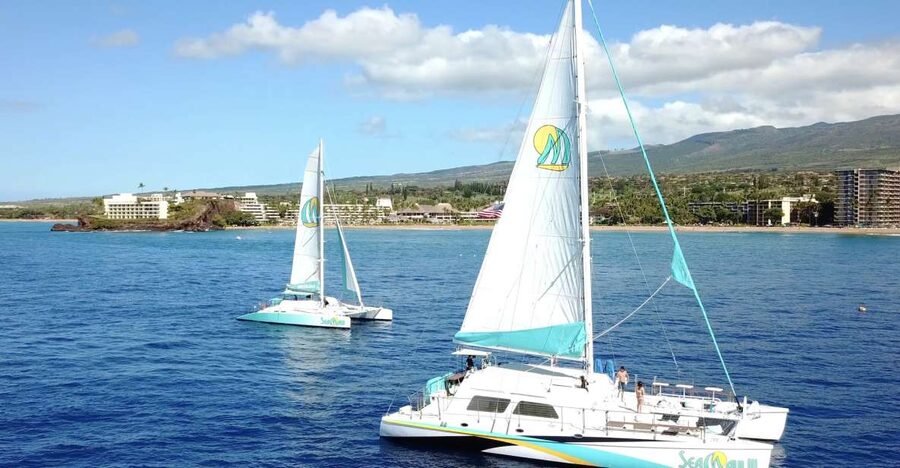 Kaanapali: Sunset Dinner Catamaran Cruise With Drinks - Should you book Sea Maui’s sunset dinner cruise?