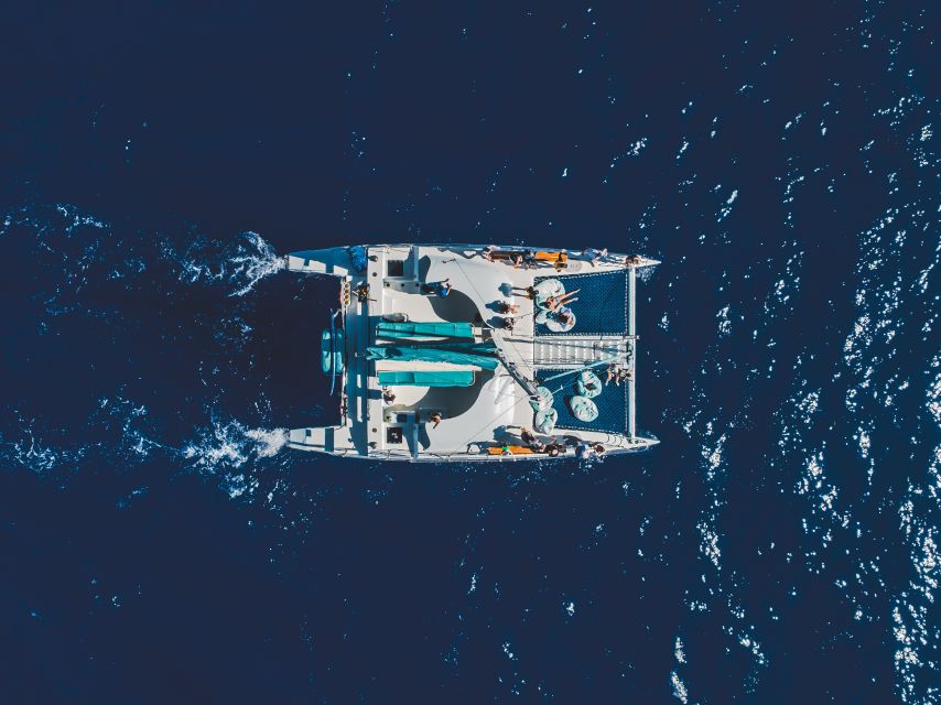 Kaanapali: Whale Watching Cruise with Open Bar - Key points to know before you book