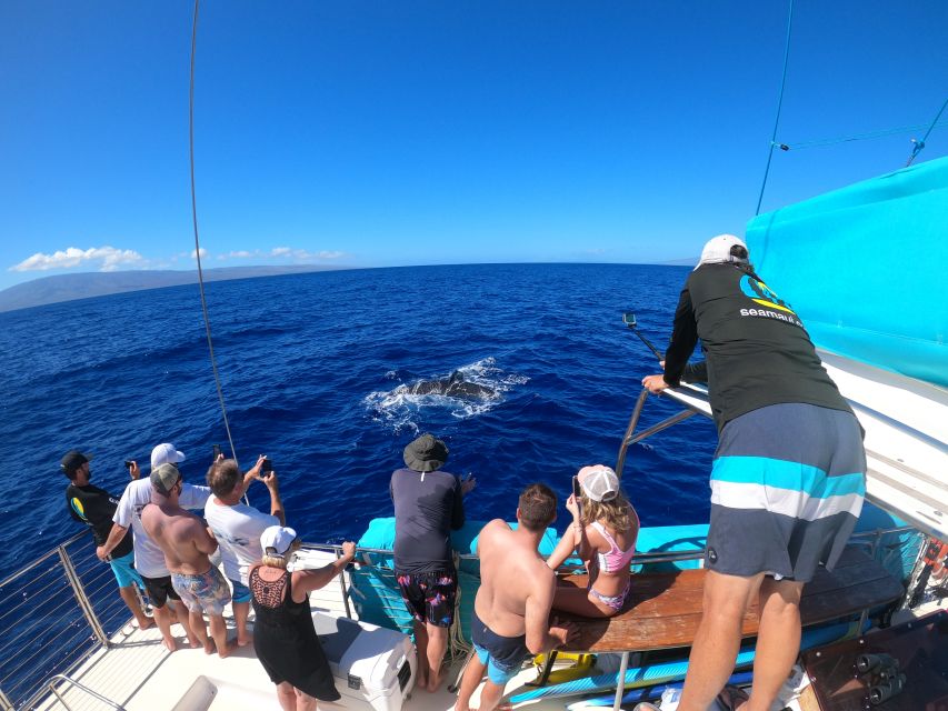 Kaanapali: Whale Watching Cruise with Open Bar - Boarding a comfortable catamaran from Kaanapali Beach