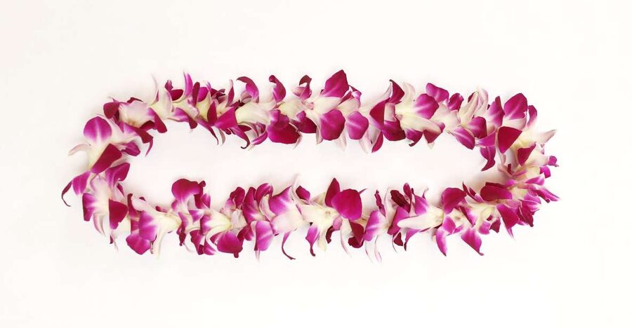 Kahului Airport: Maui Flower Lei Greeting Upon Arrival - Is $48 per person a fair price?