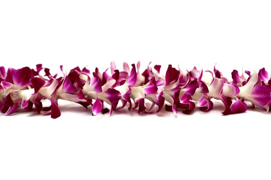 Kahului Airport: Maui Flower Lei Greeting Upon Arrival - Why orchid leis make sense at an airport