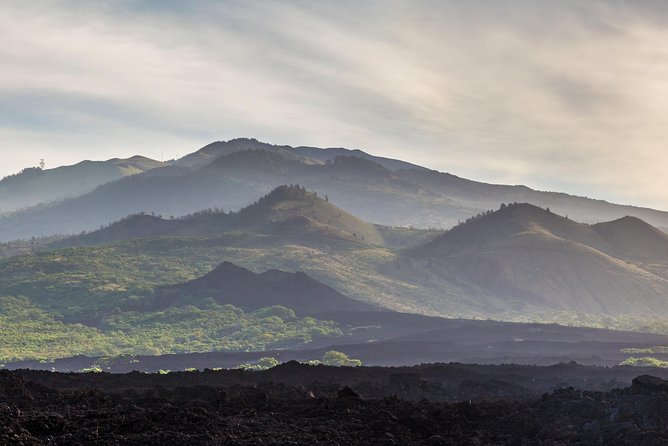 Kahului Shore Excursion: Private Tropics of Maui & Rainforest - A private Maui day from Kahului Port