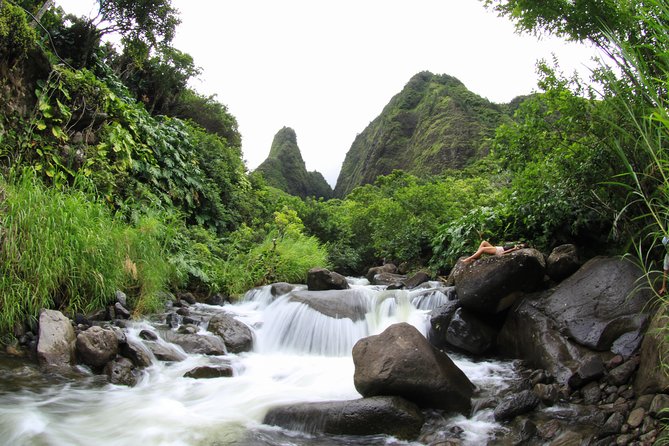 Kahului Shore Excursion: Private Tropics of Maui & Rainforest - Hookipa Beach Park, surf, and possible turtles