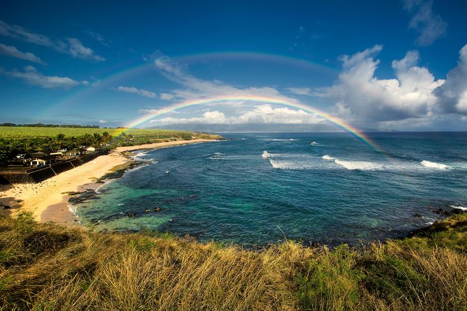 Kahului Shore Excursion: Private Tropics of Maui & Rainforest - Why the private format matters