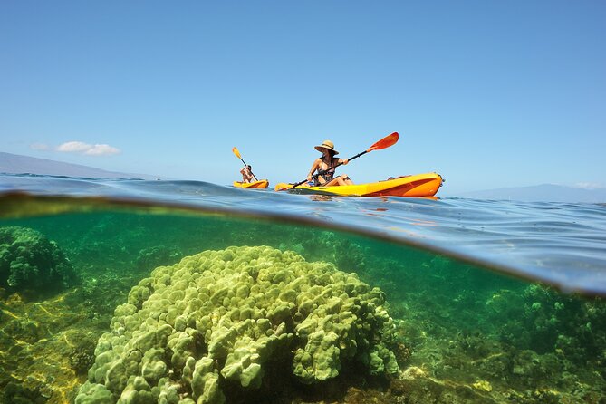 Kayak and Snorkel: Maui West Shore - A short West Maui paddle with a big mountain backdrop