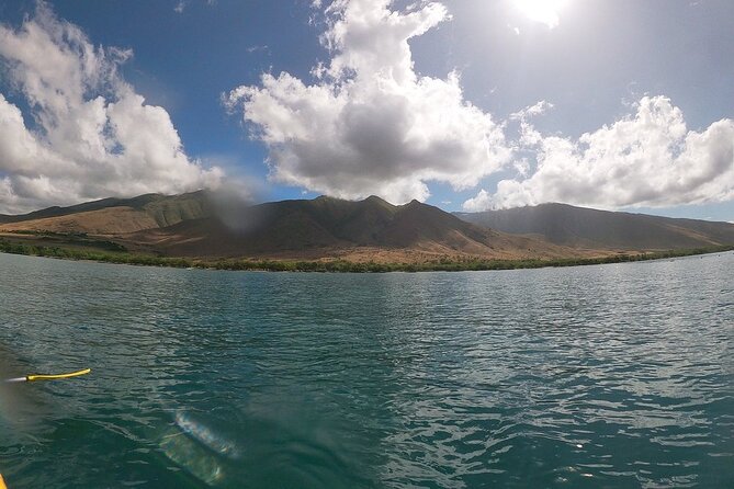 Kayak and Snorkel: Maui West Shore - What happens on the water
