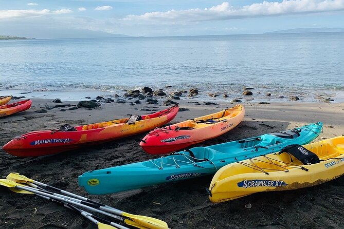 Kayak and Snorkel: Maui West Shore - Guides who shape the experience