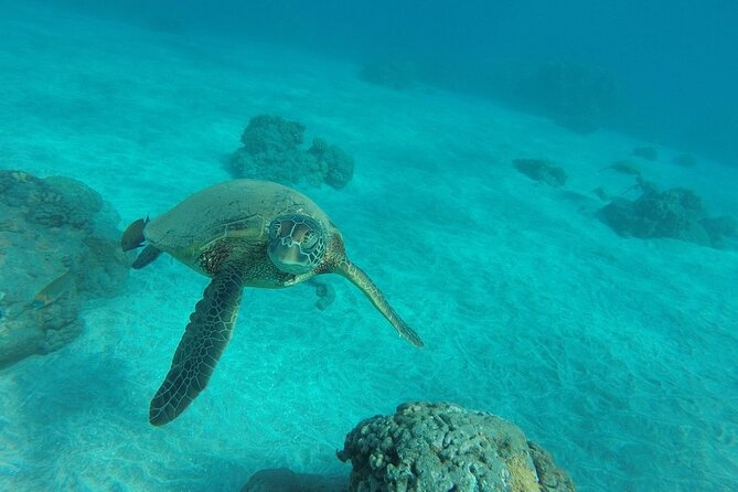 Kayak and Snorkel: Maui West Shore - How much kayaking do you really get?