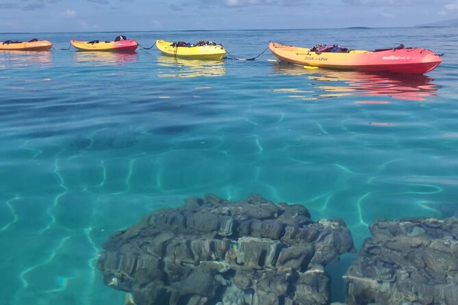 Kayak and Snorkel: Maui West Shore - Price, group size, and what is included