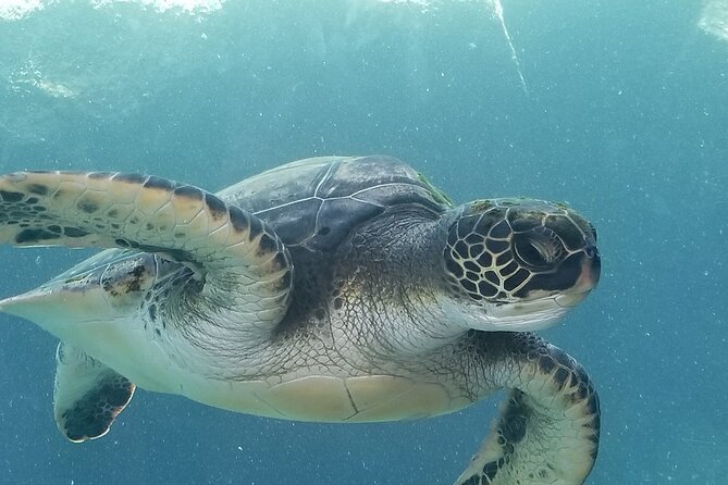 Kayak and Snorkel: Maui West Shore - Ukumehame Beach Park and the first launch