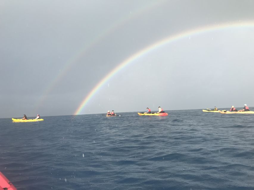 Kayak and Snorkel West Maui at Olowalu - Starting at Olowalu Beach on Highway 30