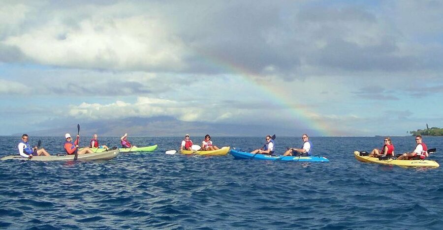 Kayak and Snorkel West Maui at Olowalu - Snorkeling at the turtle cleaning station