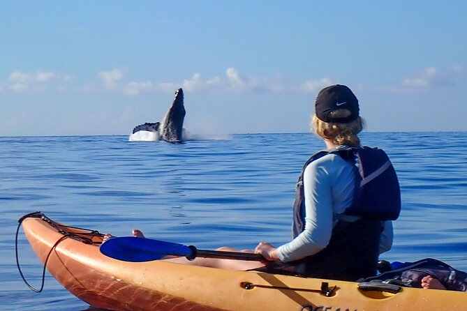 Kayak and Whale Watching Tour - The water-level view is the real attraction