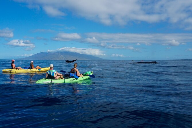 Kayak and Whale Watching Tour - Is $130 a fair price?