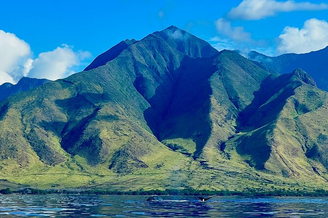 Kayak & Turtle Town Snorkel(Turtles Guaranteed) + Whale Watching - Olowalu puts you beside the reef from the start