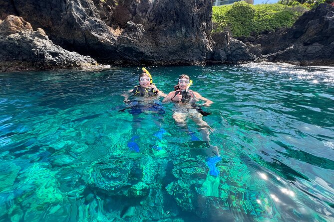 Kayak & Turtle Town Snorkel(Turtles Guaranteed) + Whale Watching - Photos, videos, and the extra-cost question