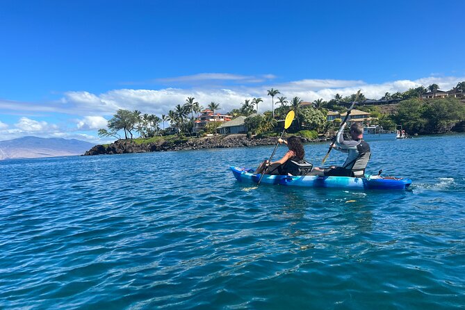 Kayak & Turtle Town Snorkel(Turtles Guaranteed) + Whale Watching - Timing, weather, and practical planning