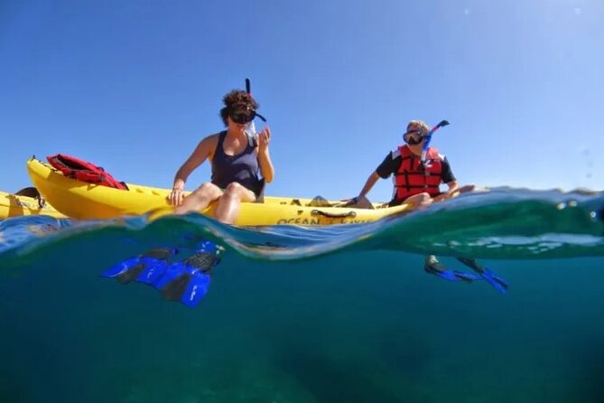 Kayak, Whale Watch and Snorkel - Why Olowalu is a strong place to kayak