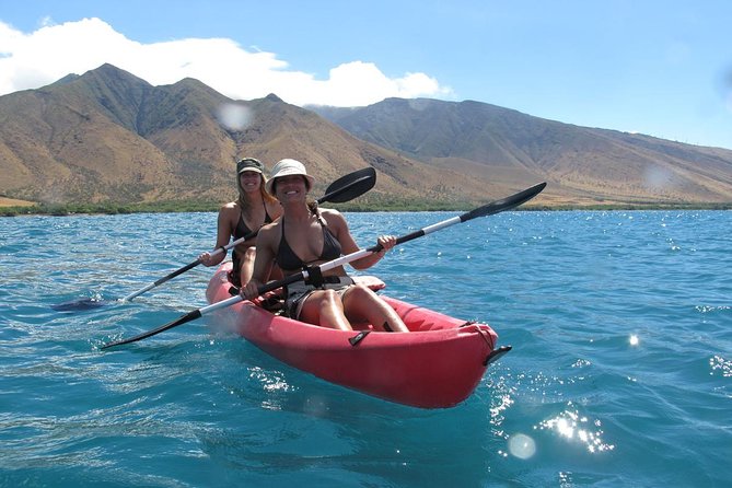 Lahaina Kayak and Snorkel Excursion - Snorkeling near the reef for about 45 minutes