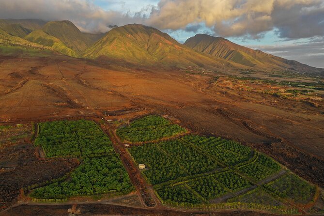 Lahaina: Maui Ku'ia Estate Guided Cacao Farm Tour and Tasting - What the chocolate tastes like
