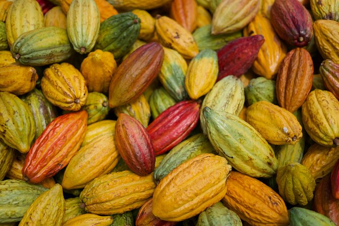 Lahaina: Maui Ku'ia Estate Guided Cacao Farm Tour and Tasting - The charitable side of the experience