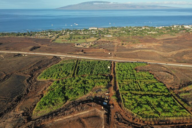 Lahaina: Maui Ku'ia Estate Guided Cacao Farm Tour and Tasting - Riding to the 20-acre cacao estate