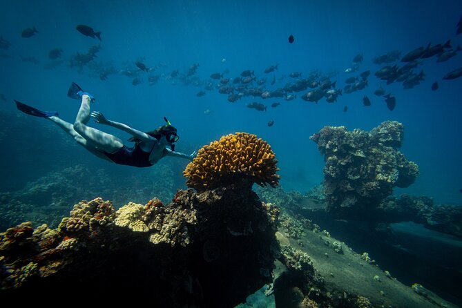Lāna'i Coast Snorkel and Sail - Who Will Enjoy This Morning Most?