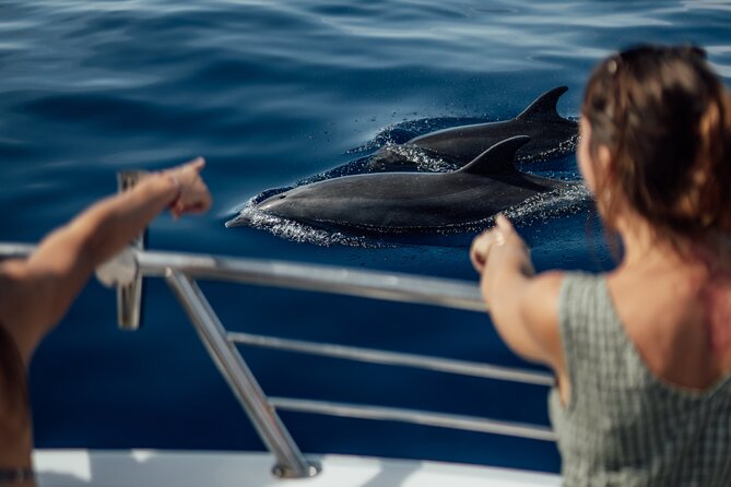 Lana'i Snorkel And Dolphin Quest with Maui Turtle Spot Tour - From Mala Boat Ramp to Open Water