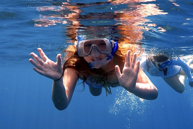 Lana'i Snorkel And Dolphin Quest with Maui Turtle Spot Tour - The Maui Turtle Stop