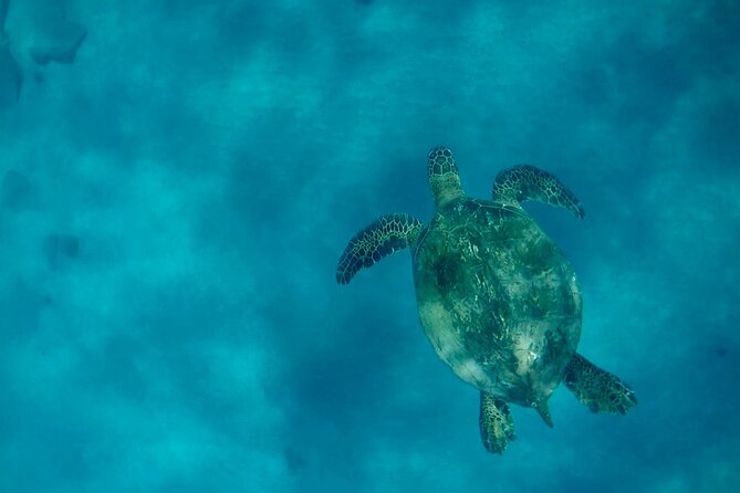 Lana'i Snorkel And Dolphin Quest with Maui Turtle Spot Tour - What the Small Boat Adds