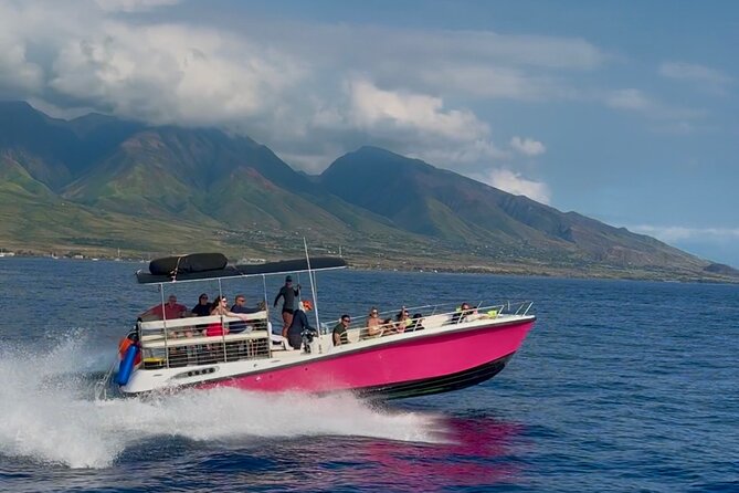 Lana'i Snorkel And Dolphin Quest with Maui Turtle Spot Tour - Who Will Enjoy This Best