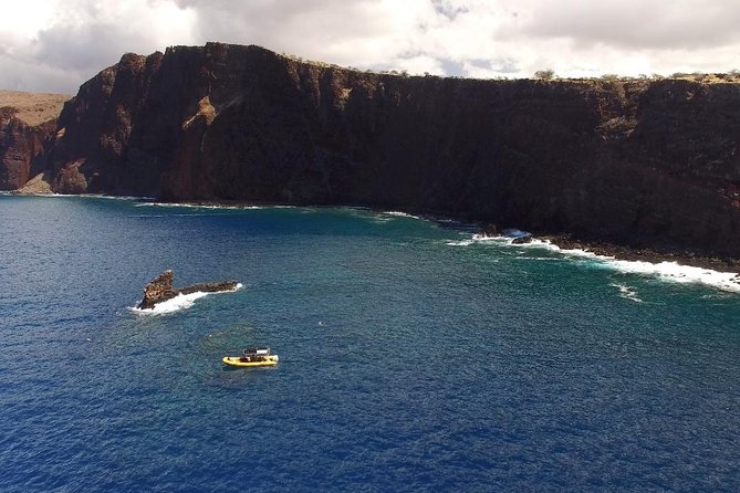 Lanai Deluxe Dolphin Adventure & 3 Snorkel Sites - Key points to know before booking