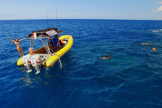 Lanai Deluxe Dolphin Adventure & 3 Snorkel Sites - What the 8 a.m. departure looks like