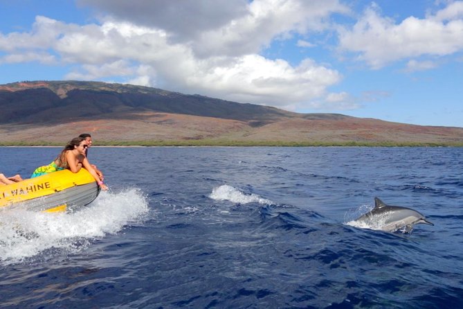 Lanai Deluxe Dolphin Adventure & 3 Snorkel Sites - The boat, group size, and comfort level