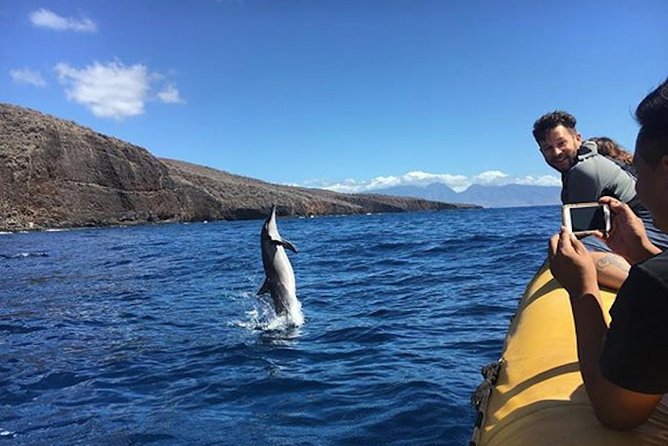 Lanai Deluxe Dolphin Adventure & 3 Snorkel Sites - Stop one: Lanai’s cliffs and clear reef water