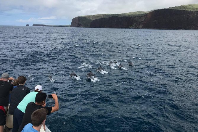 Lanai Snorkel and Dolphin Watch from Maalaea - Why the dolphin watch can be the trip’s best moment
