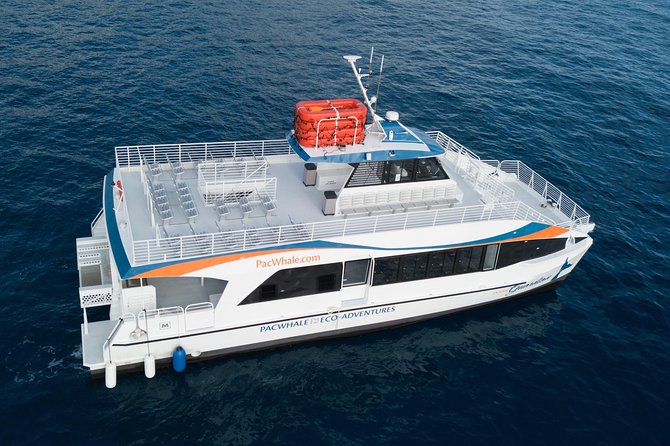 Lanai Snorkel and Dolphin Watch from Maalaea - How the crew shapes the day