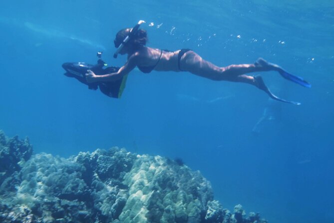 Lanai Snorkeling Half Day with Sea Scooter - Whale watching and spinner dolphins from December 15 to May 15